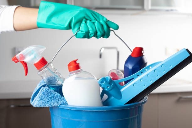 Cleaning Professionals in Sydney