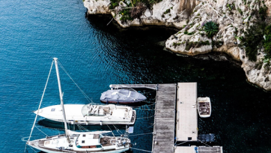 boats