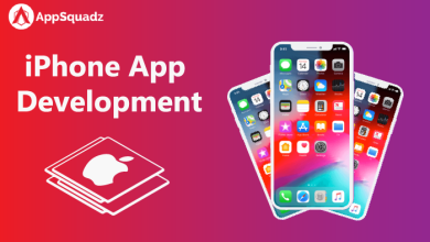 iPhone application development