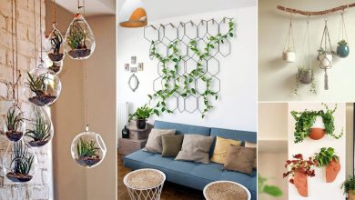 wall hanging planters