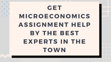 Microeconomics Assignment Help