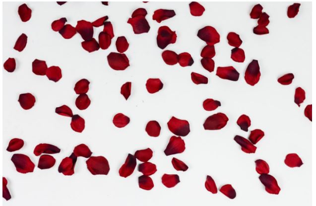 You Need Rose Petals