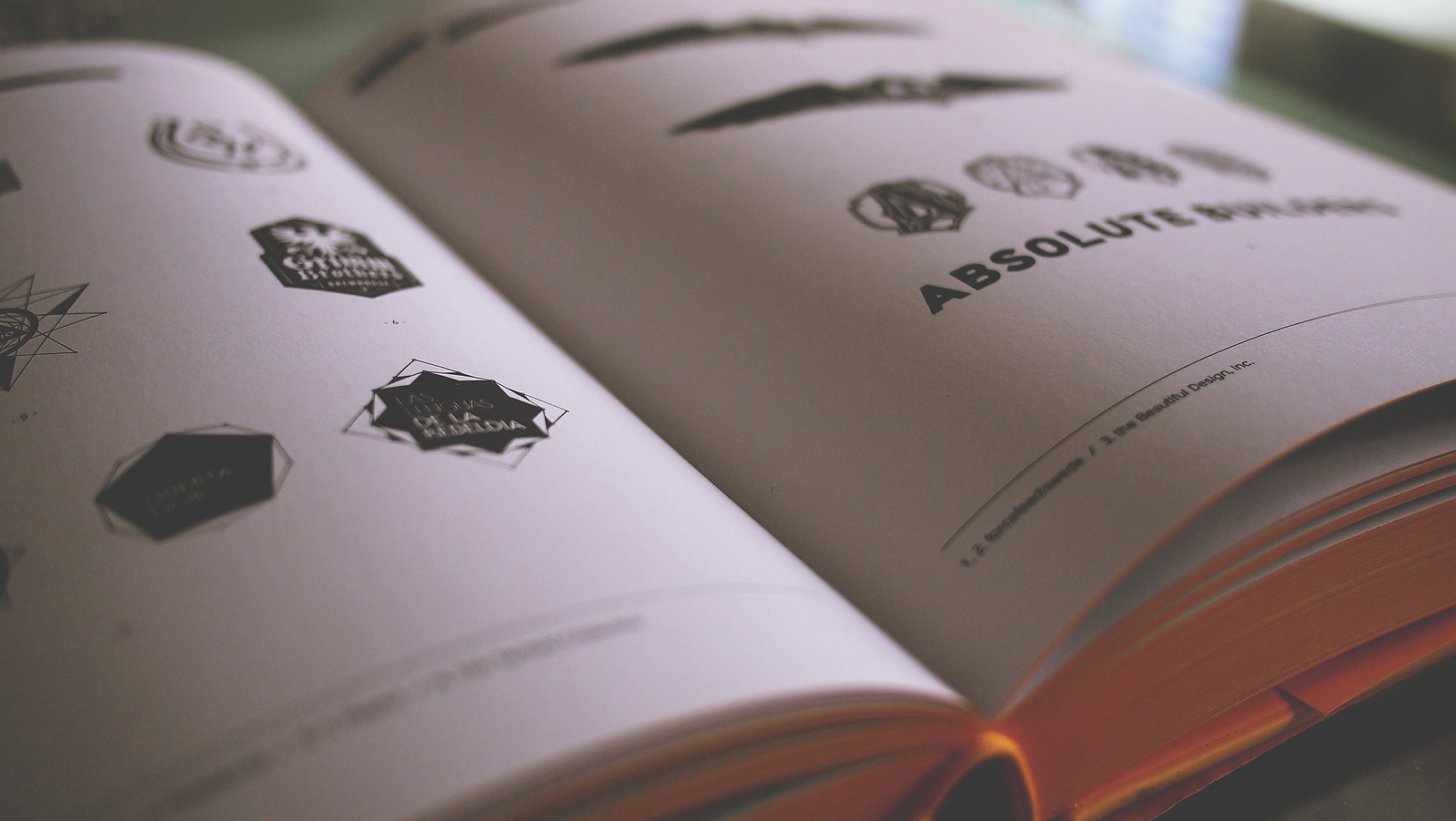 custom logo design