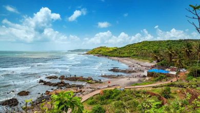 goa