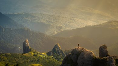 sandakphhu trek