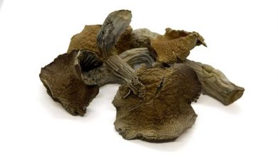 buy shrooms canada