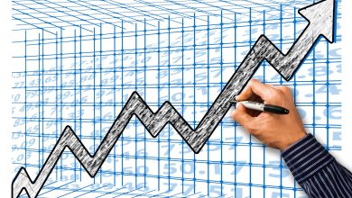 increase in wealth money