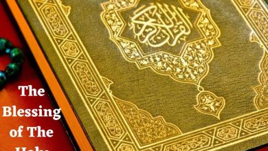online quran classes for adults UK