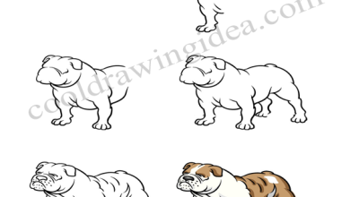 cooldrawingidea.com