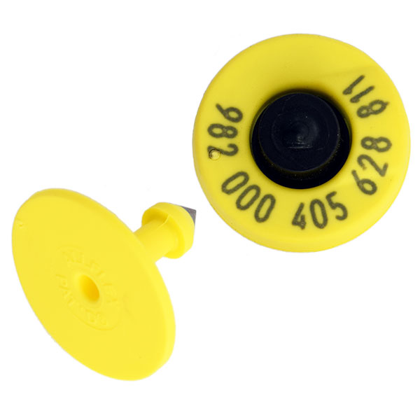 electronic ear tags