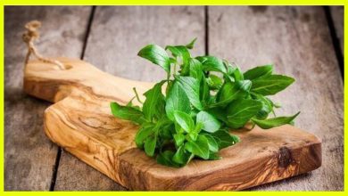 Natural Blood Cleanser