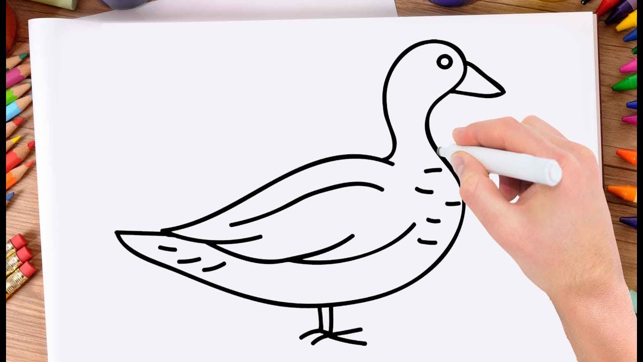 How To Draw Realistic Duck Drawing For Kids | Drawing For Kids