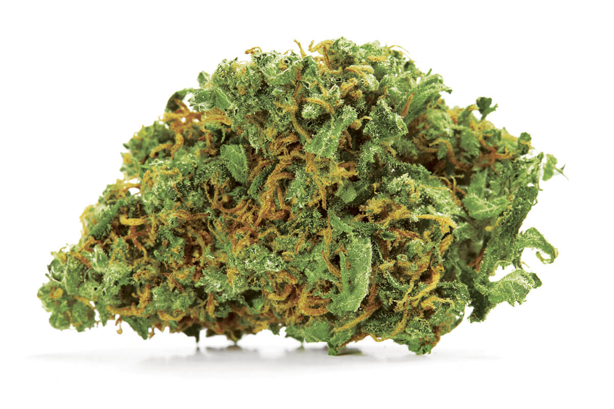 Cannatonic Strain | Mega Marijuana Store