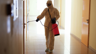 Pest Control Frankston South