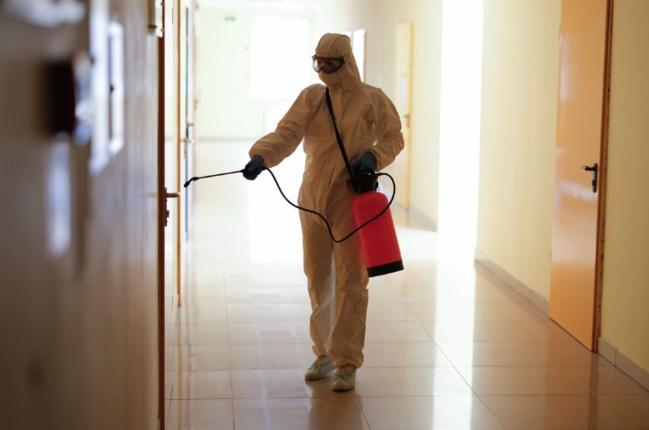 Pest Control Frankston South